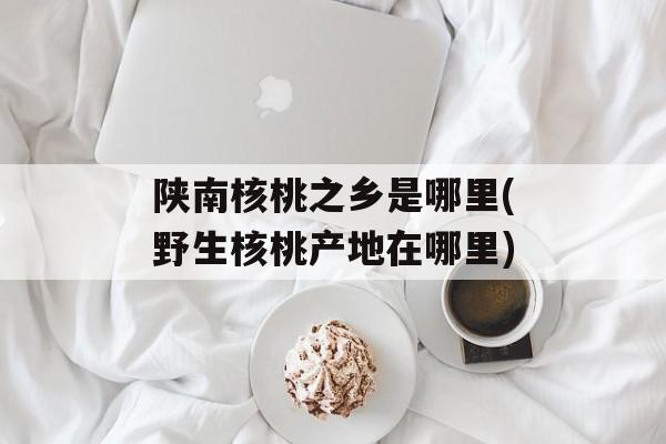 陕南核桃之乡是哪里(野生核桃产地在哪里)-第1张图片-