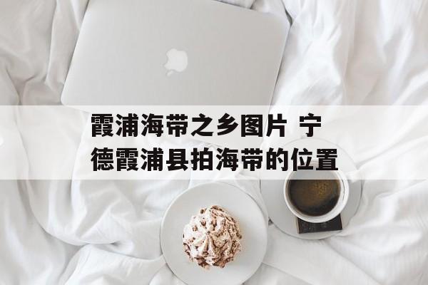 霞浦海带之乡图片 宁德霞浦县拍海带的位置-第1张图片-