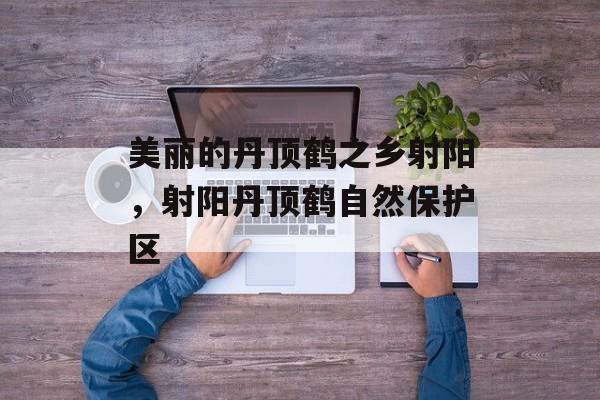美丽的丹顶鹤之乡射阳，射阳丹顶鹤自然保护区-第1张图片-