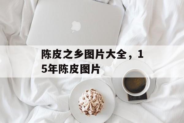 陈皮之乡图片大全，15年陈皮图片-第1张图片-