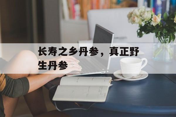 长寿之乡丹参，真正野生丹参-第1张图片-