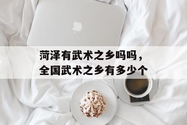 菏泽有武术之乡吗吗，全国武术之乡有多少个-第1张图片-