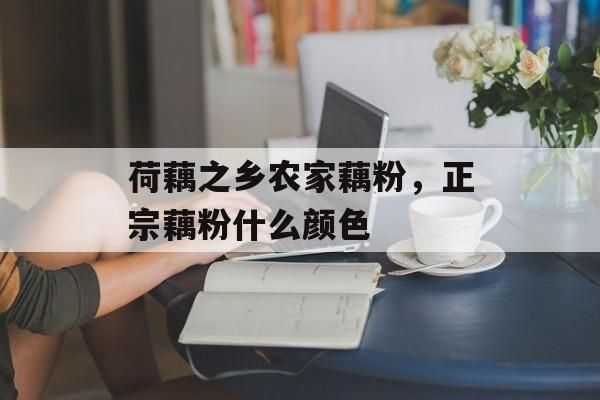 荷藕之乡农家藕粉，正宗藕粉什么颜色-第1张图片-