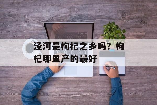 泾河是枸杞之乡吗？枸杞哪里产的最好-第1张图片-