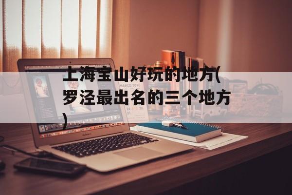 上海宝山好玩的地方(罗泾最出名的三个地方)-第1张图片-