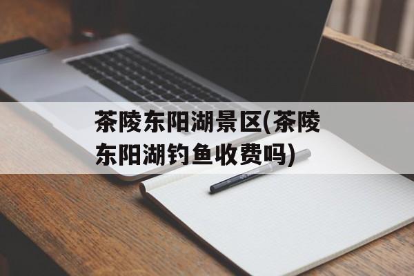 茶陵东阳湖景区(茶陵东阳湖钓鱼收费吗)-第1张图片-