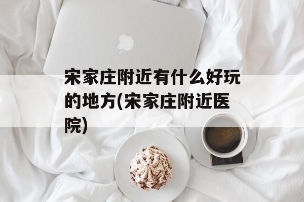 宋家庄附近有什么好玩的地方(宋家庄附近医院)-第1张图片-