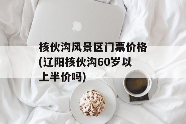 核伙沟风景区门票价格(辽阳核伙沟60岁以上半价吗)-第1张图片-