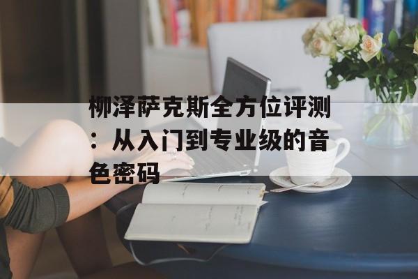 柳泽萨克斯全方位评测：从入门到专业级的音色密码-第1张图片-