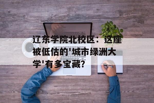 辽东学院北校区：这座被低估的'城市绿洲大学'有多宝藏？-第1张图片-