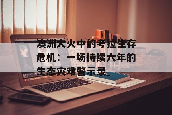 澳洲大火中的考拉生存危机：一场持续六年的生态灾难警示录-第1张图片-