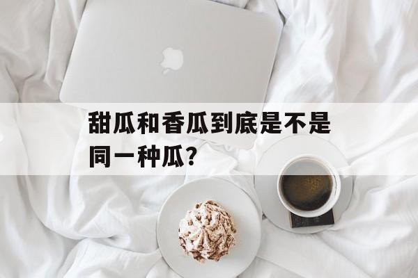 甜瓜和香瓜到底是不是同一种瓜？-第1张图片-