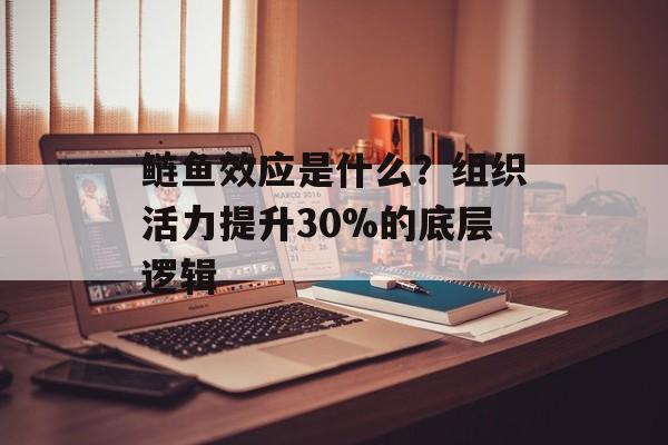 鲢鱼效应是什么？组织活力提升30%的底层逻辑-第1张图片-