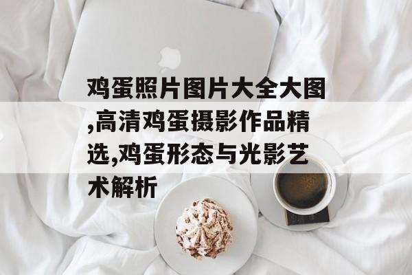 鸡蛋照片图片大全大图,高清鸡蛋摄影作品精选,鸡蛋形态与光影艺术解析-第1张图片-