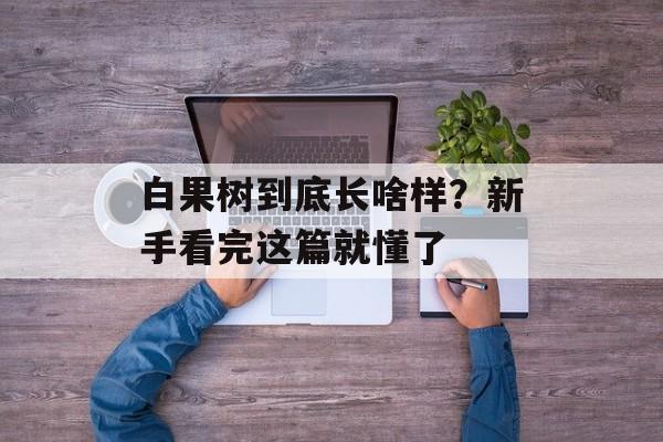 白果树到底长啥样？新手看完这篇就懂了-第1张图片-