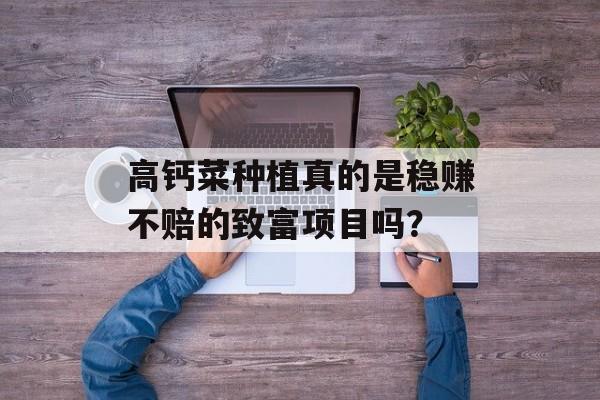 高钙菜种植真的是稳赚不赔的致富项目吗？-第1张图片-