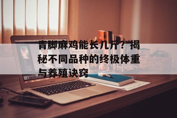 青脚麻鸡能长几斤？揭秘不同品种的终极体重与养殖诀窍-第1张图片-