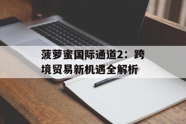 菠萝蜜国际通道2：跨境贸易新机遇全解析-第1张图片-
