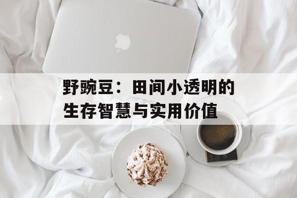 野豌豆：田间小透明的生存智慧与实用价值-第1张图片-