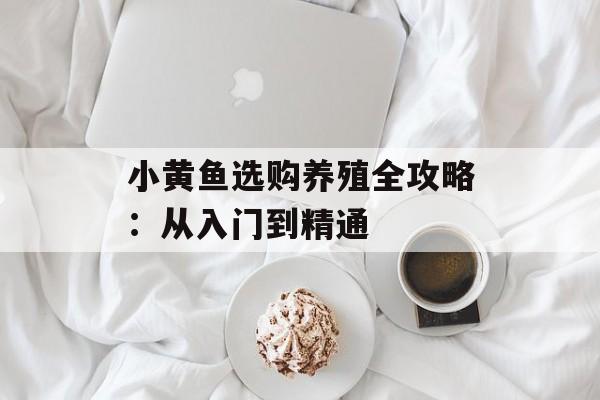 小黄鱼选购养殖全攻略：从入门到精通-第1张图片-