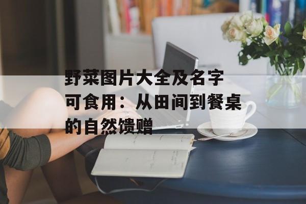 野菜图片大全及名字 可食用：从田间到餐桌的自然馈赠-第1张图片-