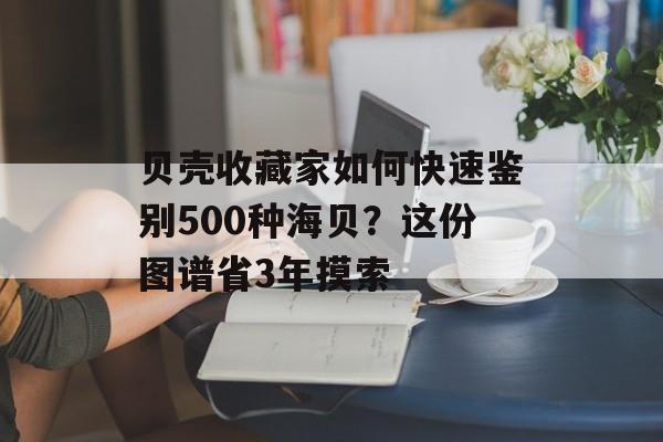 贝壳收藏家如何快速鉴别500种海贝？这份图谱省3年摸索-第1张图片-