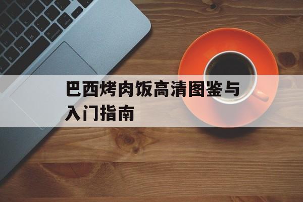 巴西烤肉饭高清图鉴与入门指南-第1张图片-