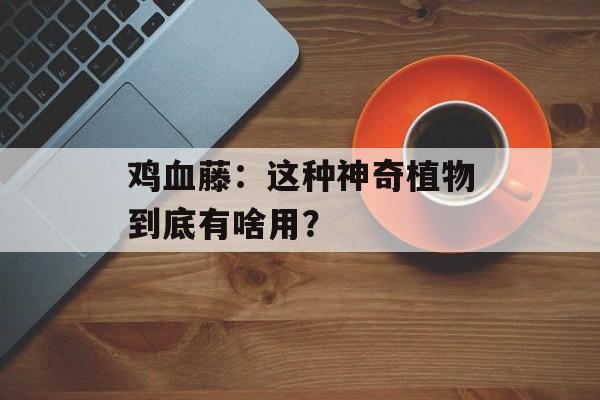 鸡血藤：这种神奇植物到底有啥用？-第1张图片-