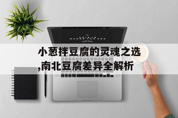 小葱拌豆腐的灵魂之选,南北豆腐差异全解析-第1张图片-