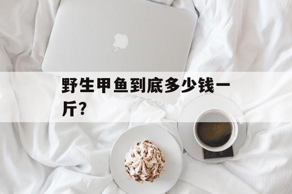 野生甲鱼到底多少钱一斤？-第1张图片-