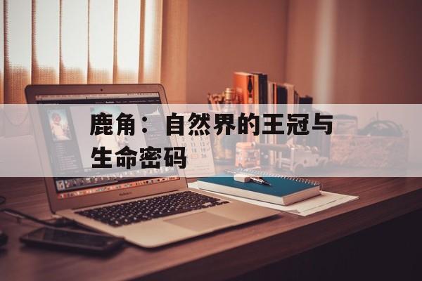 鹿角：自然界的王冠与生命密码-第1张图片-