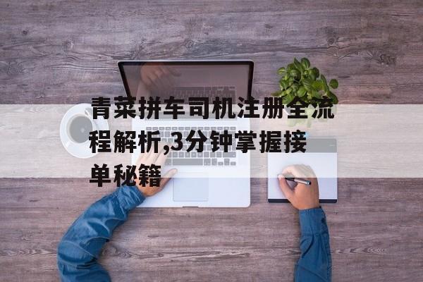 青菜拼车司机注册全流程解析,3分钟掌握接单秘籍-第1张图片-