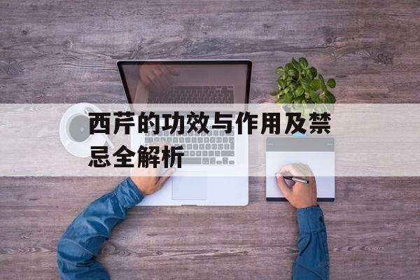 西芹的功效与作用及禁忌全解析-第1张图片-