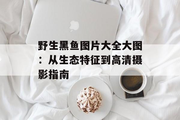 野生黑鱼图片大全大图：从生态特征到高清摄影指南-第1张图片-