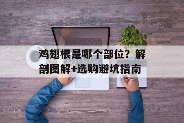 鸡翅根是哪个部位？解剖图解+选购避坑指南-第1张图片-