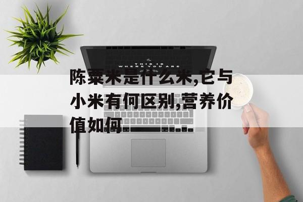 陈粟米是什么米,它与小米有何区别,营养价值如何-第1张图片-
