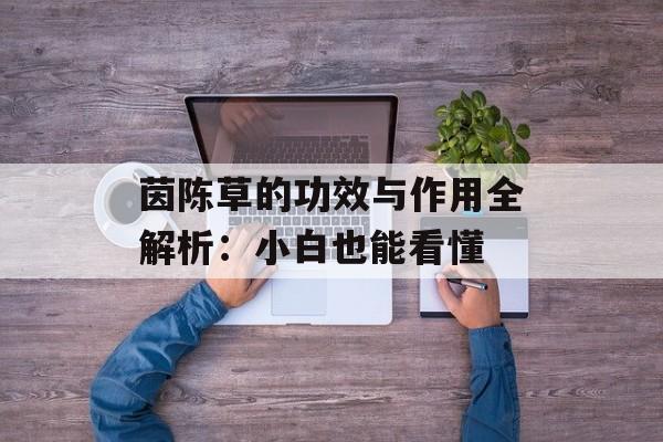 茵陈草的功效与作用全解析：小白也能看懂-第1张图片-