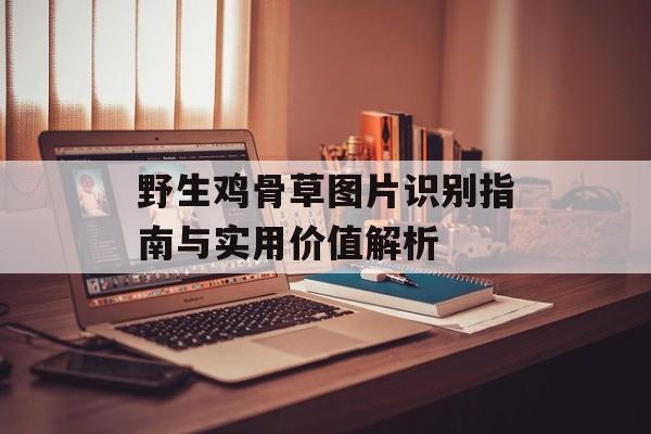 野生鸡骨草图片识别指南与实用价值解析-第1张图片-