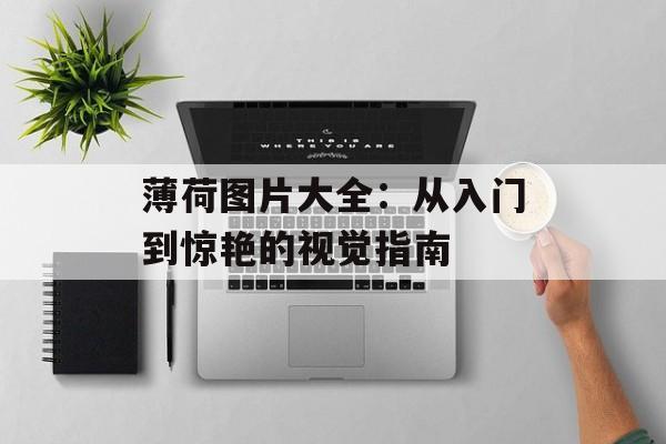 薄荷图片大全：从入门到惊艳的视觉指南-第1张图片-