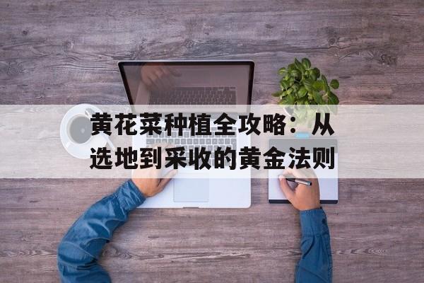 黄花菜种植全攻略：从选地到采收的黄金法则-第1张图片-