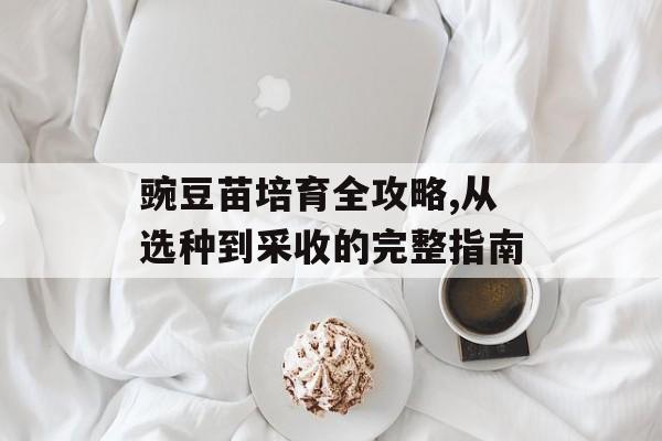 豌豆苗培育全攻略,从选种到采收的完整指南-第1张图片-