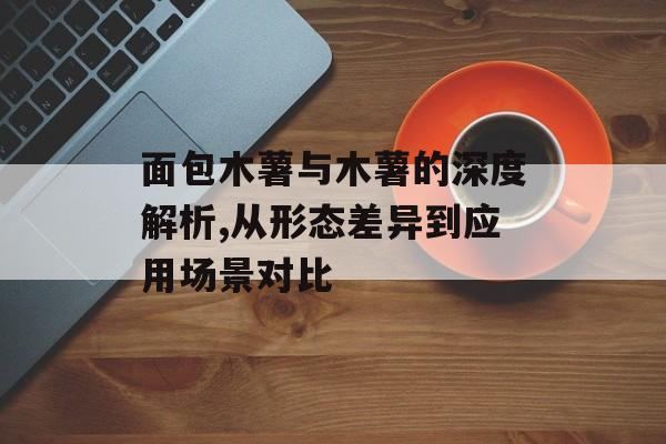 面包木薯与木薯的深度解析,从形态差异到应用场景对比-第1张图片-