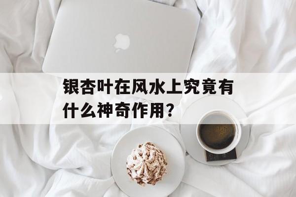 银杏叶在风水上究竟有什么神奇作用？-第1张图片-