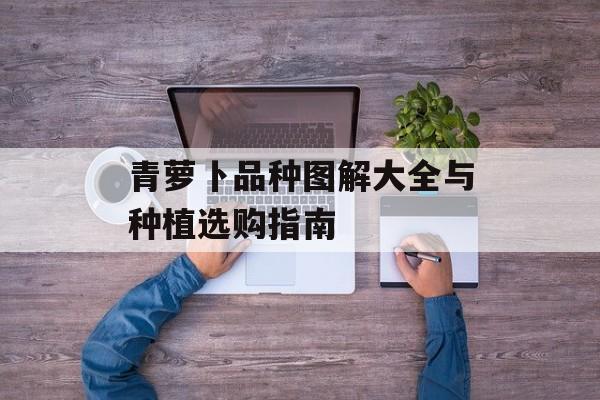 青萝卜品种图解大全与种植选购指南-第1张图片-