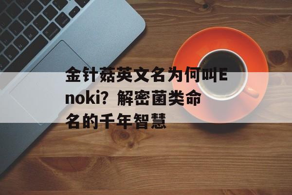 金针菇英文名为何叫Enoki？解密菌类命名的千年智慧-第1张图片-