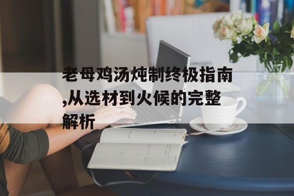 老母鸡汤炖制终极指南,从选材到火候的完整解析-第1张图片-