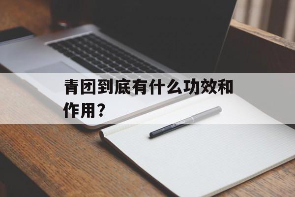青团到底有什么功效和作用？-第1张图片-