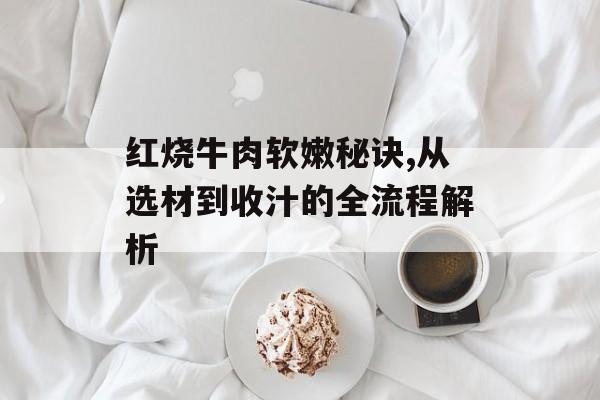 红烧牛肉软嫩秘诀,从选材到收汁的全流程解析-第1张图片-