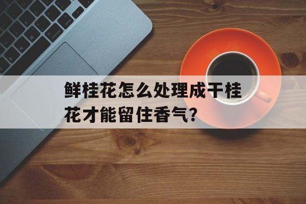 鲜桂花怎么处理成干桂花才能留住香气？-第1张图片-