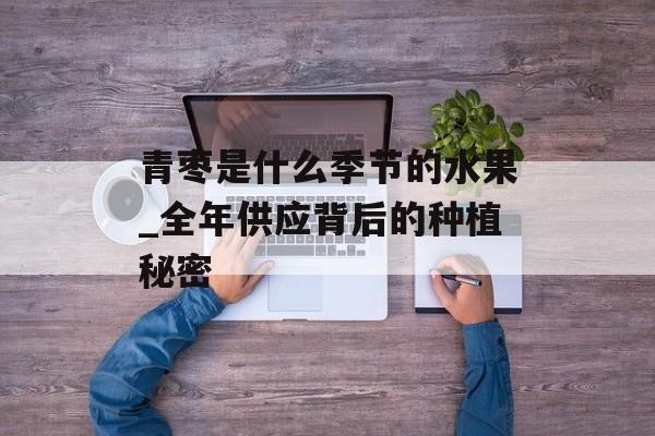青枣是什么季节的水果_全年供应背后的种植秘密-第1张图片-